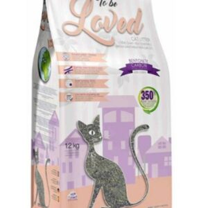 חול 22 e1720094681936