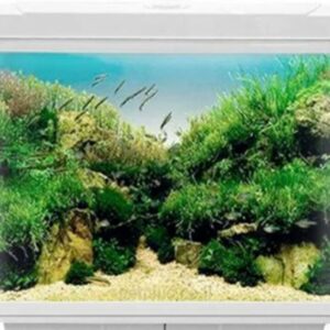 אקווריום לדגים + פילטר + תאורת לד - 62 ס"מ דגם CR620
