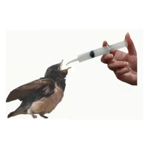 מזרק פלסטיק עם צינור להאכלת גוזלים - 12 מ"ל